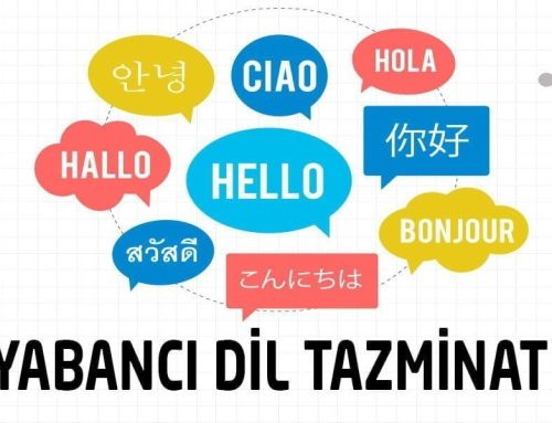 Yabancı Dil Tazminatı Nedir? Yabancı Dil Tazminatı Nasıl Alınır?